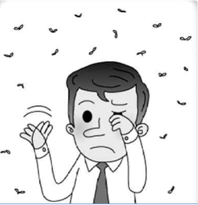 眼前總有小黑影？小心飛蚊癥！